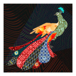 Peacock Fotodruck