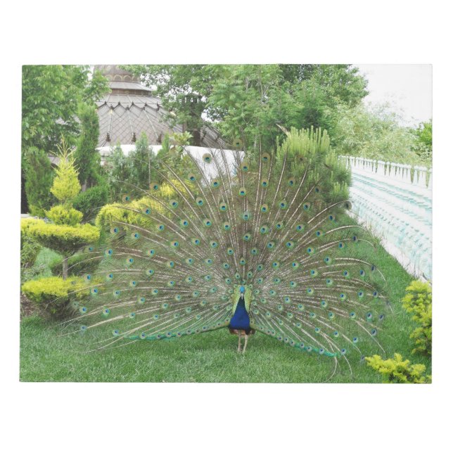 Peacock Fotopad Notepad Notizblock (Vorderseite)
