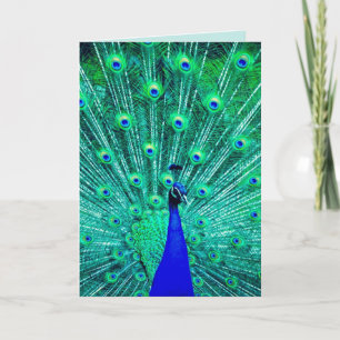 PEACOCK FUNNY BIRTHDAY GREETING CARD KARTE