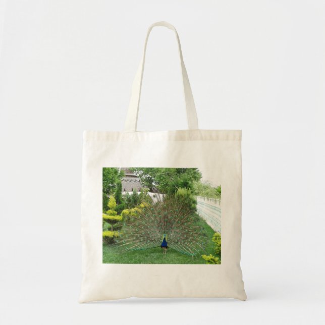 Peacock Garden Foto Budget Tasche (Vorne)