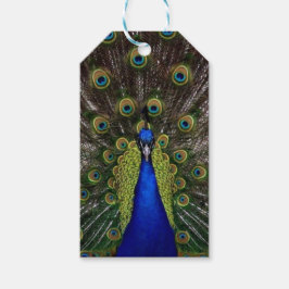 Peacock Geschenkanhänger