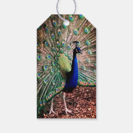 Peacock Geschenkanhänger