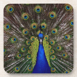 Peacock Getränkeuntersetzer