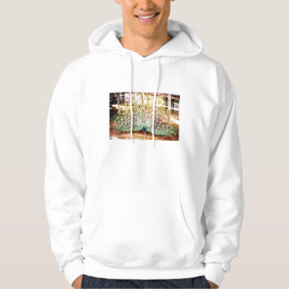 Peacock Hoodie