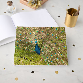 Peacock Image Guest Book Gästebuch