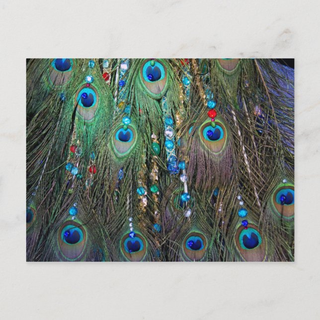 Peacock Jewelery Postkarte (Vorderseite)