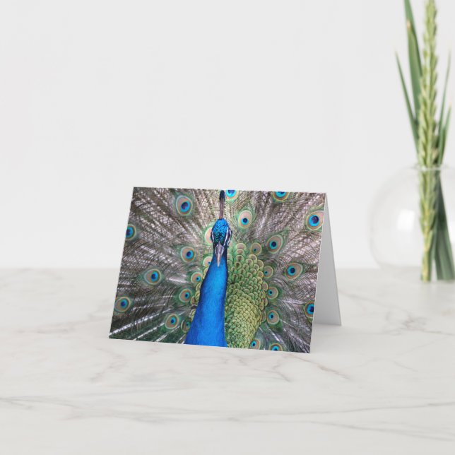 Peacock Karte (Vorderseite)