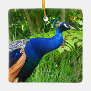 Peacock Keramikornament