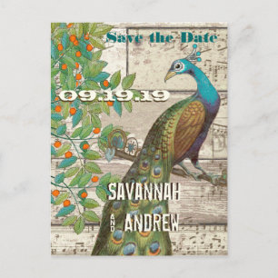Peacock Love Bird im Baum Save the Date sitzen Ankündigungspostkarte