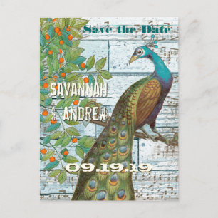 Peacock Love Bird im Baum Save the Date sitzen Ankündigungspostkarte