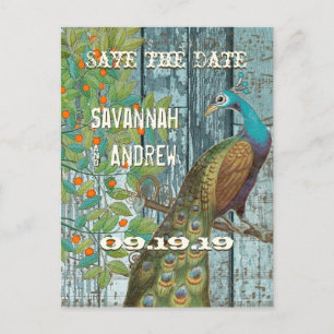 Peacock Love Bird im Baum Save the Date sitzen Ankündigungspostkarte