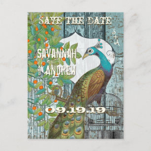 Peacock Love Bird im Baum Save the Date sitzen Ankündigungspostkarte