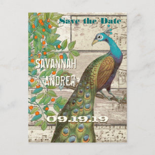 Peacock Love Bird im Baum Save the Date sitzen Ankündigungspostkarte
