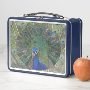 Peacock Lunchbox