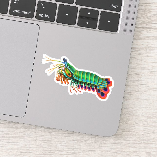 Peacock Mantis Shrimp Contour Sticker (Detail)