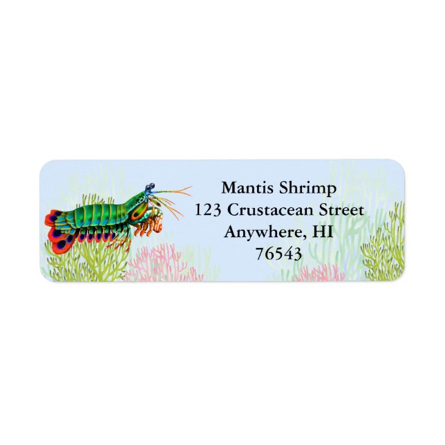 Peacock Mantis Shrimp-Label (Vorne)