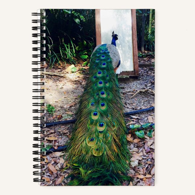 Peacock Mirror Mirror Hard Cover Notebook Notizbuch (Vorderseite)