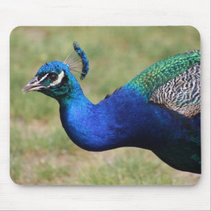 Peacock Mouse Mousepad