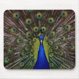 Peacock Mouse Pad Mousepad