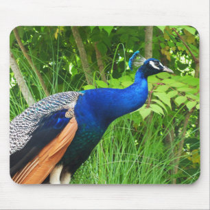 Peacock Mousepad