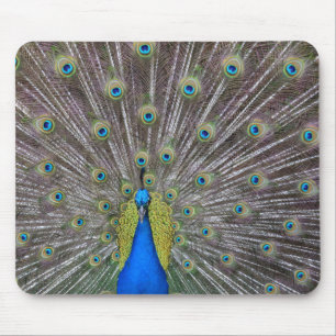 Peacock Mousepad