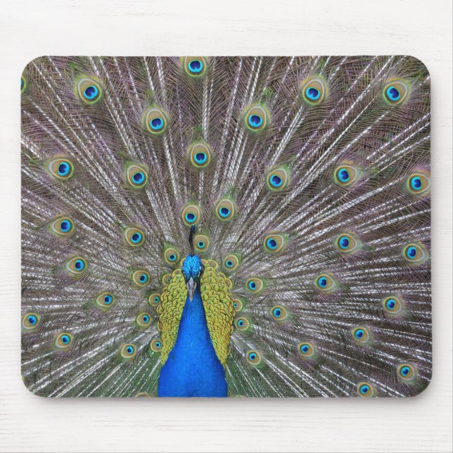 Peacock Mousepad (Vorne)