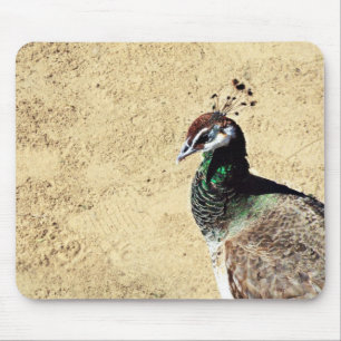 Peacock Mousepad