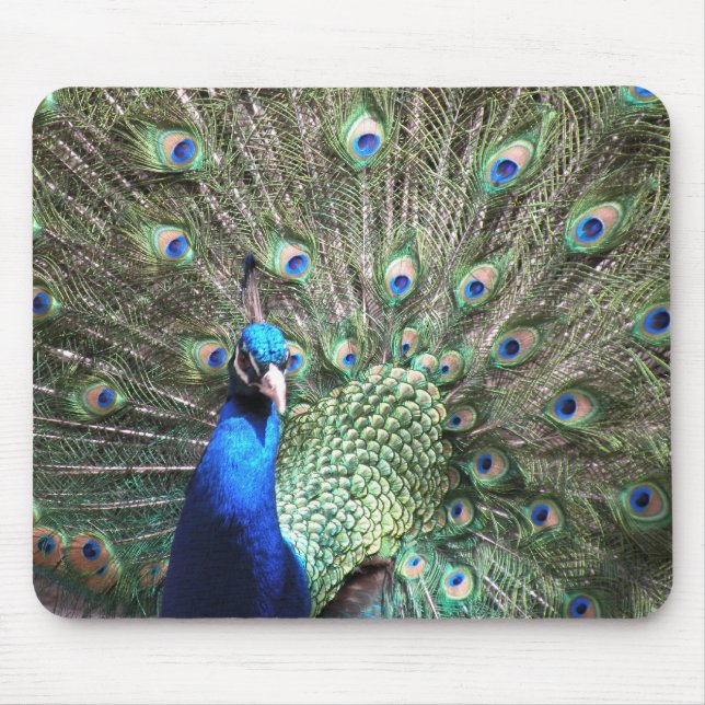 Peacock Mousepad (Vorne)