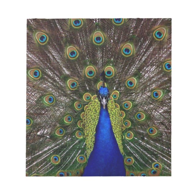Peacock Notizblock (Vorderseite)