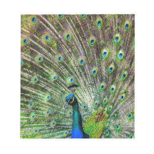 Peacock Notizblock