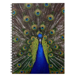 Peacock Notizblock
