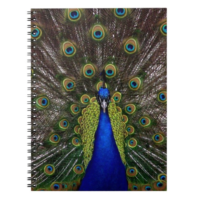 Peacock Notizblock (Vorderseite)