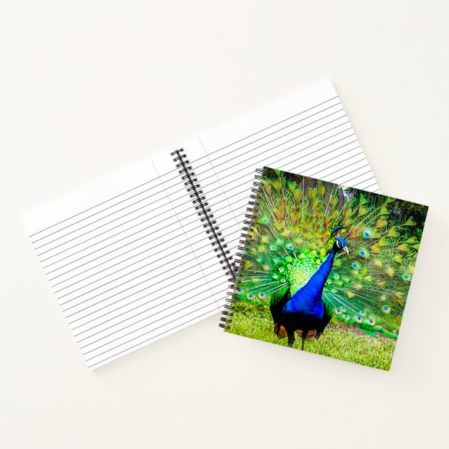 Peacock Notizbuch (Innenseite)