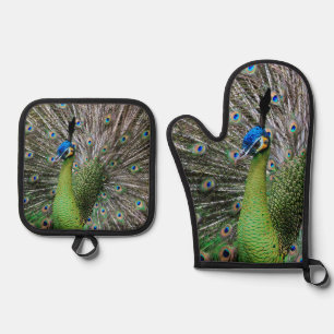 Peacock Ofenhandschuh & Topflappen-Set