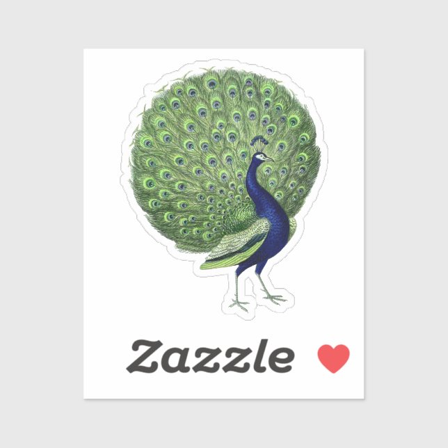 Peacock Open Fan Aufkleber (Blatt)