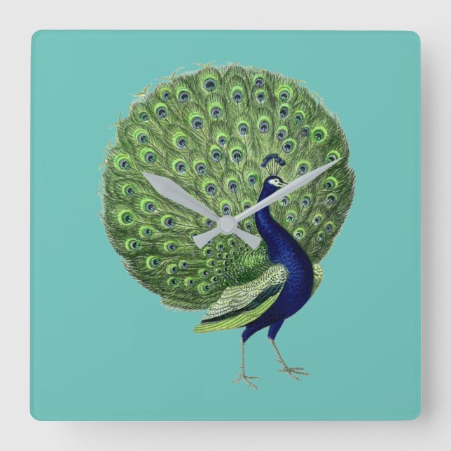 Peacock Open Fan Quadratische Wanduhr (Vorderseite)