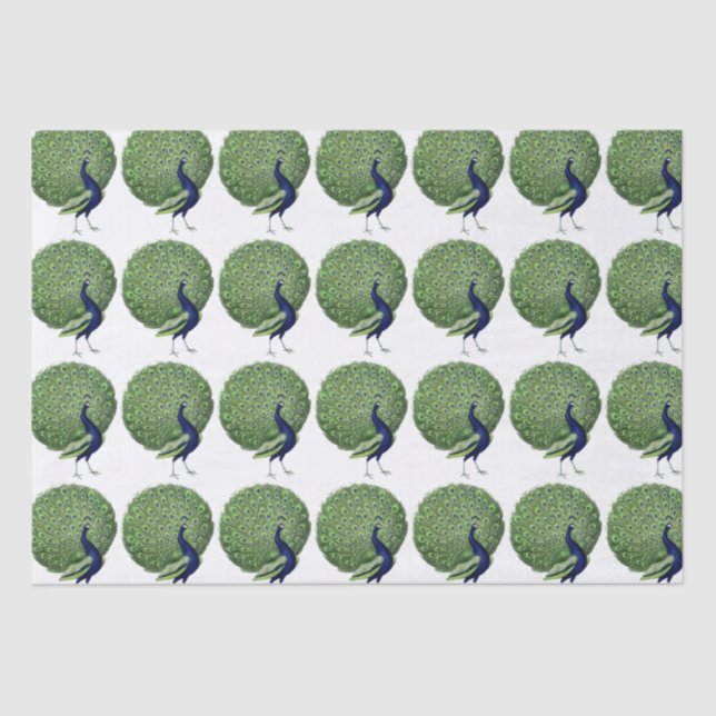 Peacock Open Fan Seidenpapier (Vorderseite)