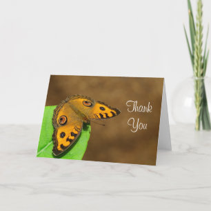 Peacock Pansy Butterfly Danke