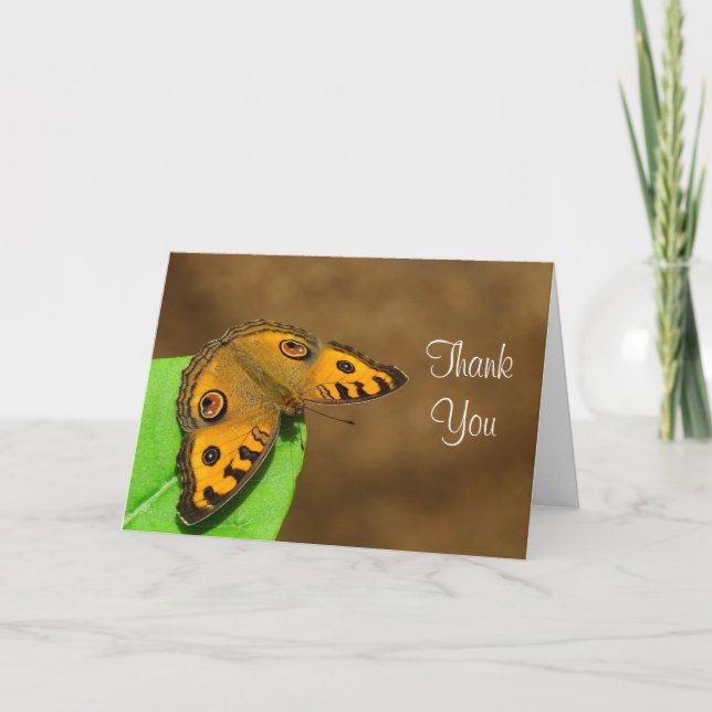 Peacock Pansy Butterfly Danke (Vorderseite)