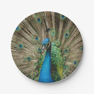 Peacock Pappteller