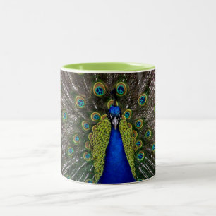 Peacock Peacecock 11oz Zweifarbige Tasse