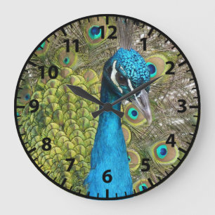 Peacock Peacocks Birds Clock Große Wanduhr