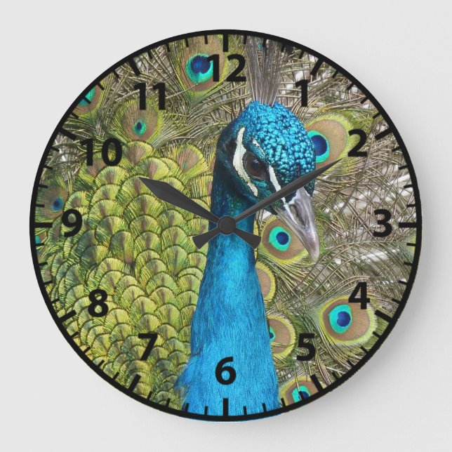 Peacock Peacocks Birds Clock Große Wanduhr (Vorderseite)