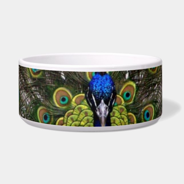 Peacock Pet Bowl Napf (Vorderseite)