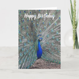 PEACOCK PHOTO HAPPY BIRTHDAY GREETING CARD  KARTE