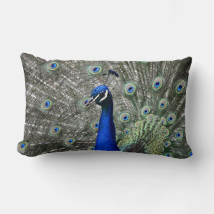 Peacock Pillow Lendenkissen