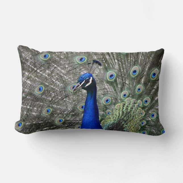 Peacock Pillow Lendenkissen (Vorderseite)