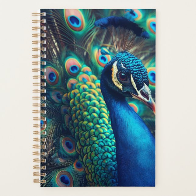 Peacock Planer (Vorderseite)
