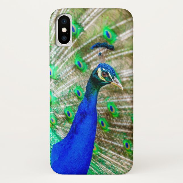 Peacock Plumage Case-Mate iPhone Hülle (Rückseite)