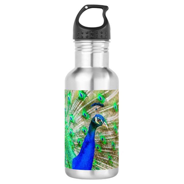 Peacock Plumage Edelstahlflasche (Vorderseite)